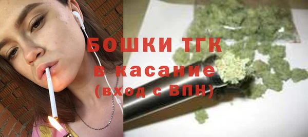 прущая мука Арсеньев