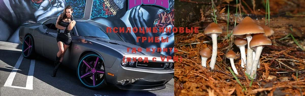a pvp Армянск