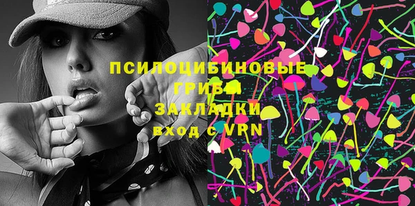 прущая мука Арсеньев