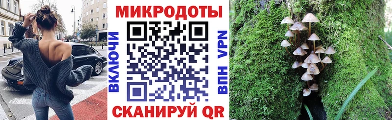 Галлюциногенные грибы мухоморы  Высоцк 